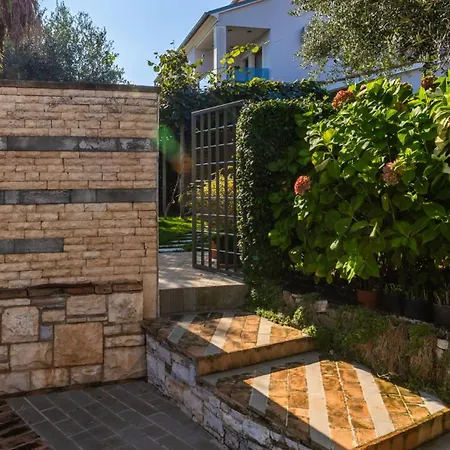 Mir - By Guide 로비니