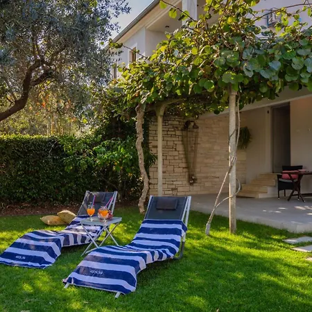 Mir - By Guide 로비니