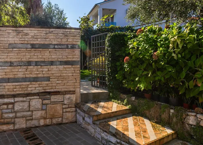 Mir - By Guide 로비니