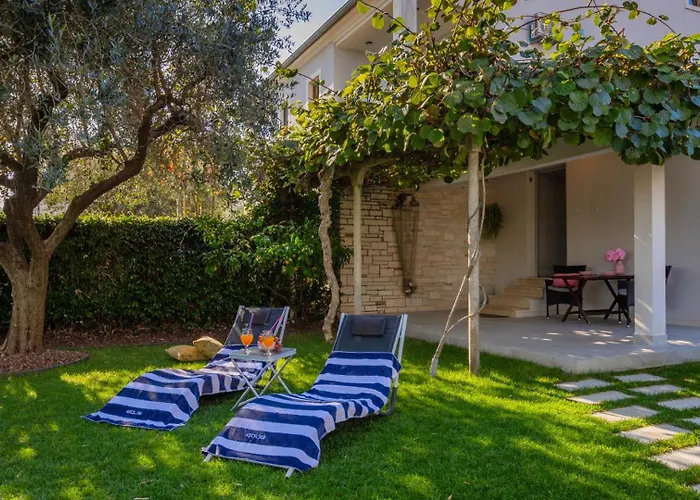 Mir - By Guide 로비니